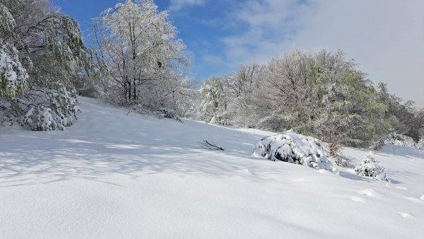 SĂLAJ: Strat de zăpadă de 30 de centimetri, depus pe Măgura Priei
