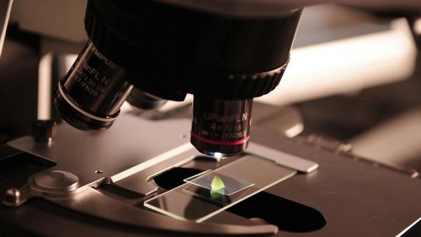 CRAIOVA: Dotări noi pentru 41 de laboratoare de ştiinţe din şcolile locale