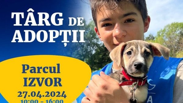Târg de adopții pentru căței, organizat în Parcul Izvor din București